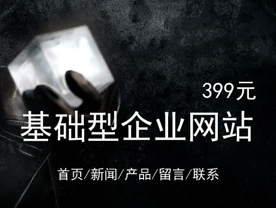 丽水市网站建设网站设计最低价399元 岛内建站dnnic.cn